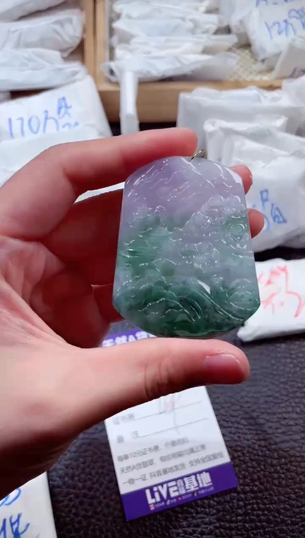 翡翠未镶嵌颈饰00005488