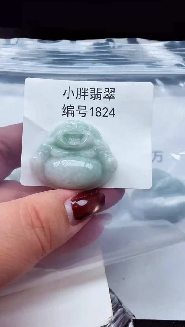 颈饰未镶嵌翡翠缅甸天然A货翡翠1824