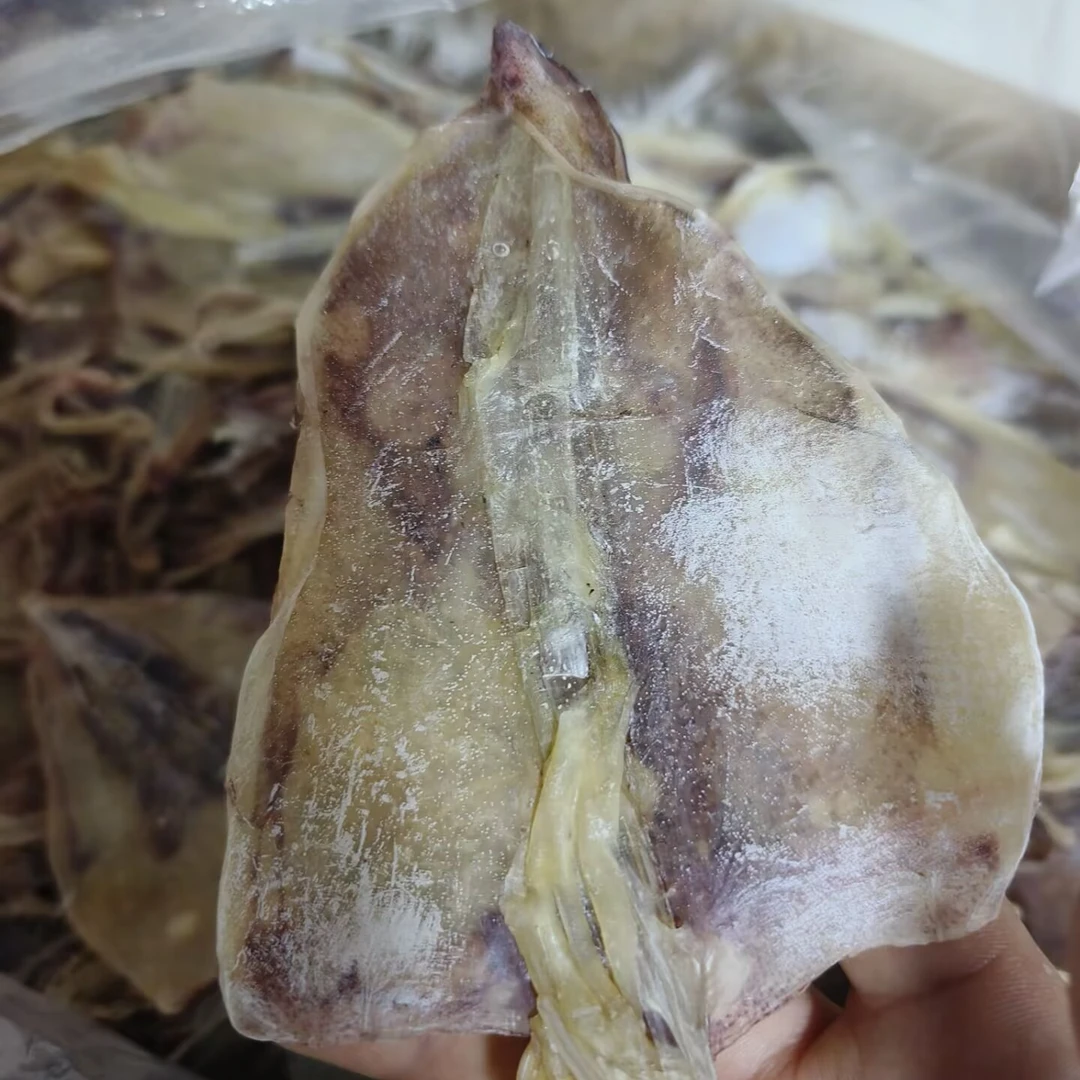 )福建东山岛本港小鱿鱼公片