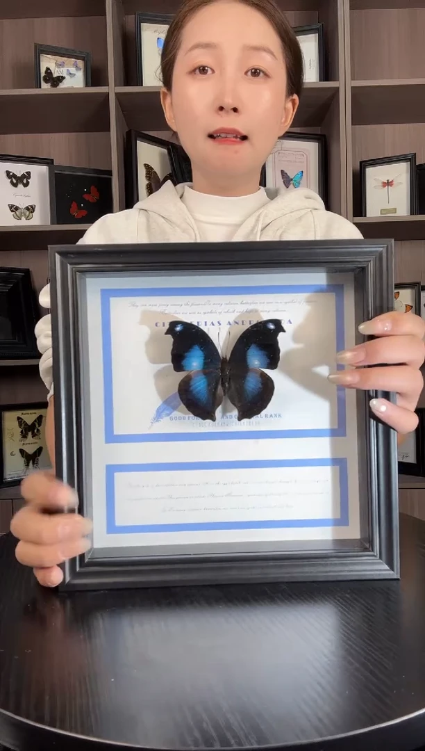 实木竖款爱情鸟蛱蝶（蝴蝶装饰画8寸框）