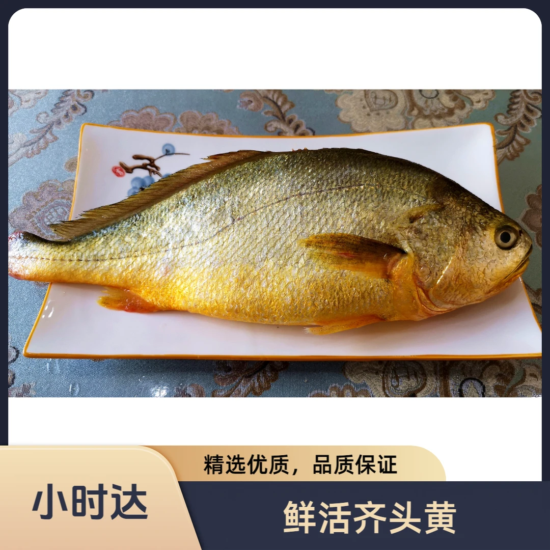 鲜活齐头黄