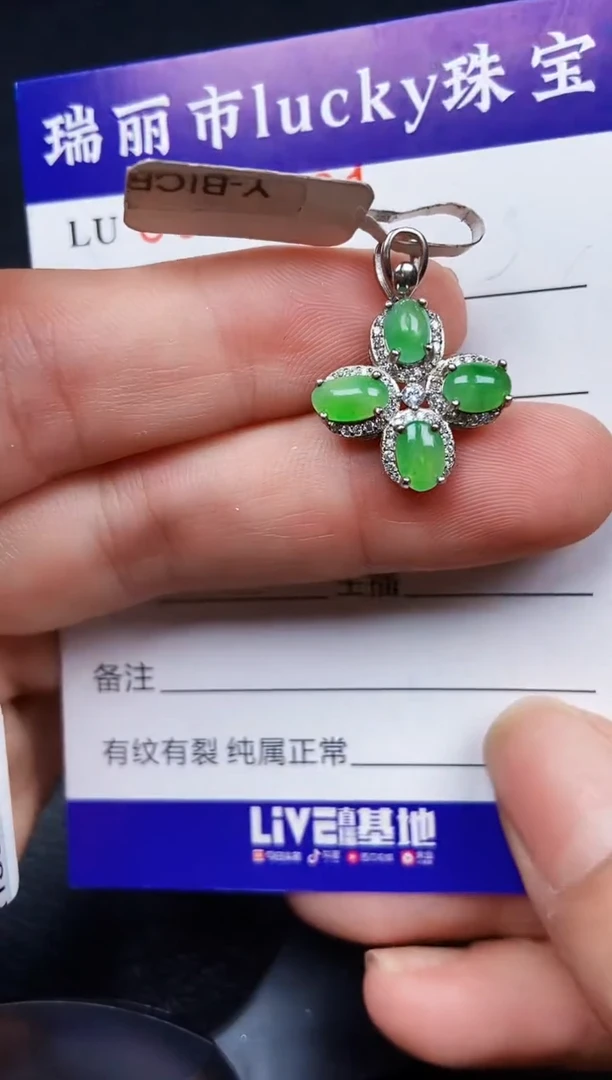 翡翠银S925镶嵌颈饰4761