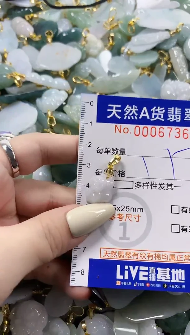 颈饰未镶嵌翡翠天然A货翡翠