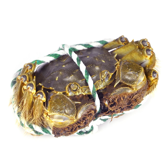 【鲜活大闸蟹公蟹3两/只】135-160g/只.鲜活配送需要几只拍几只