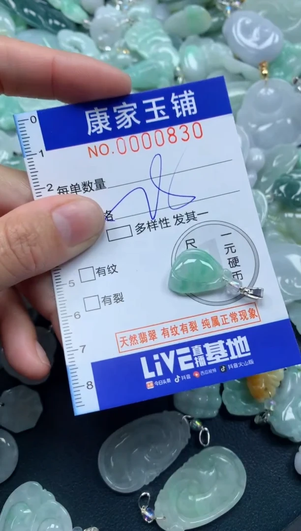 颈饰未镶嵌翡翠830