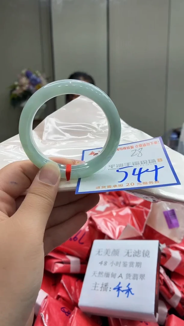 未镶嵌手镯翡翠11111