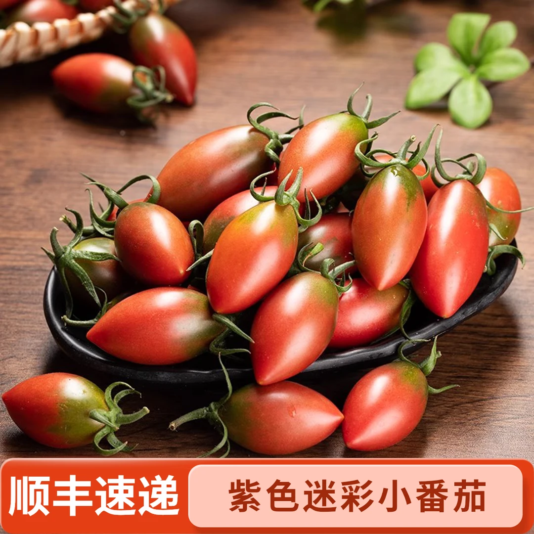 顺丰快递紫弹头迷彩小番茄新鲜圣女果紫色番茄当季甜水果3斤5斤