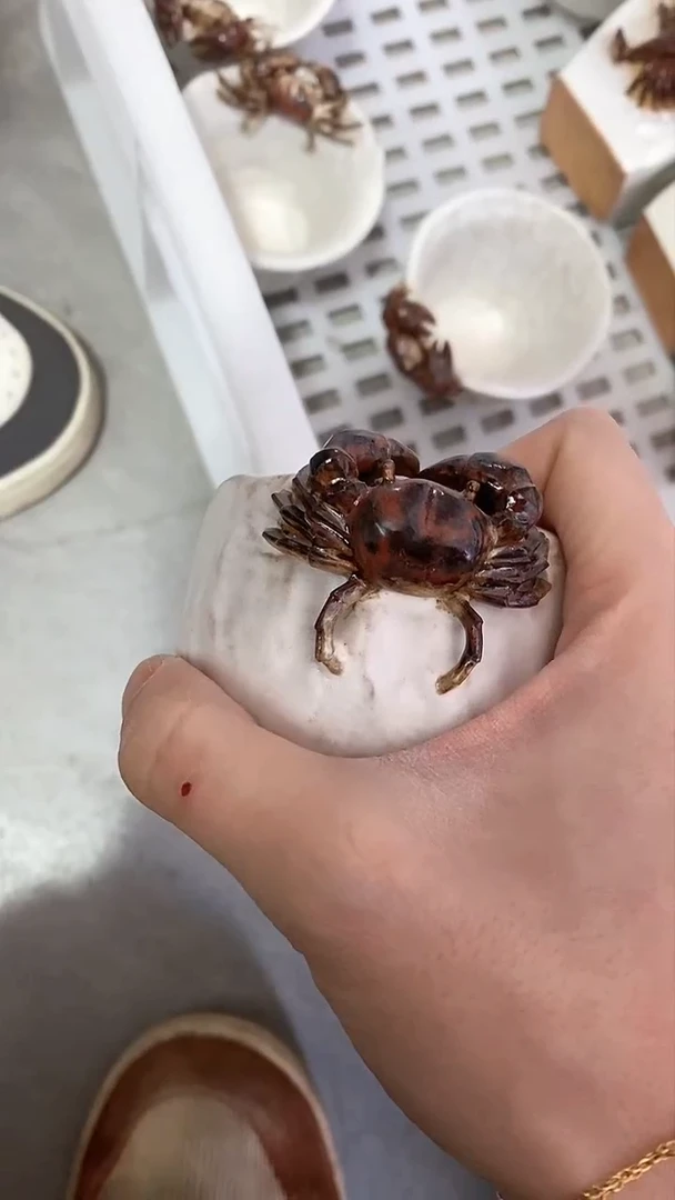 【闪购商品】瓷片陶瓷茶器福利50