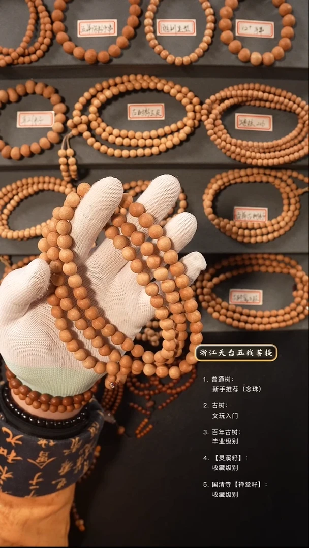 【闪购商品】五线菩提吊坠原皮脖挂