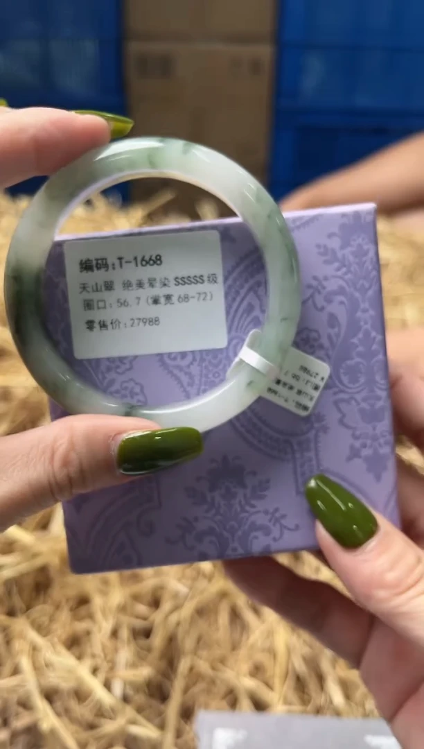 未镶嵌手镯石英质玉T1668