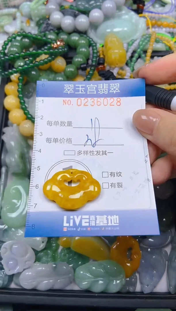 颈饰未镶嵌翡翠闪购C0236028