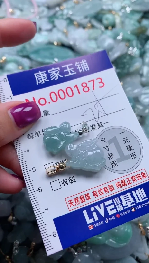 颈饰未镶嵌翡翠1873