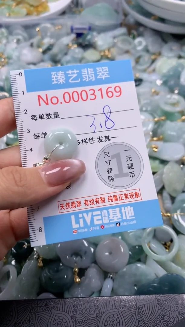 翡翠未镶嵌颈饰3169