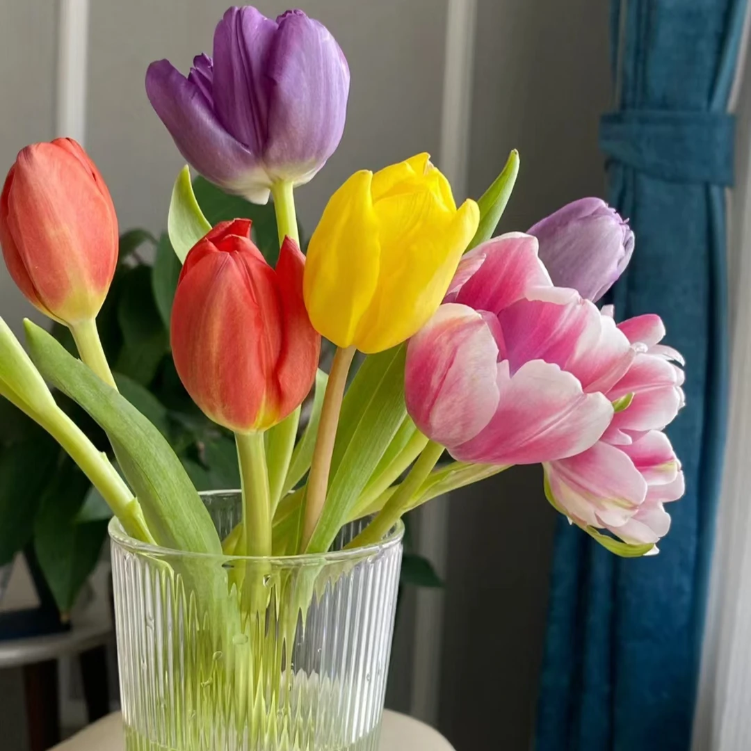 次日达  平安喜乐组合