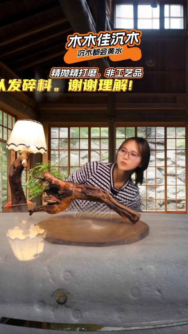 奥****曾木木佳沉木鱼缸造景-867