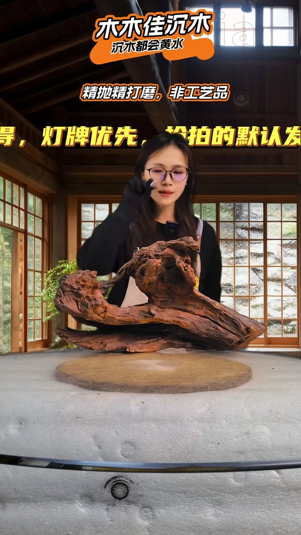 点***贝木木佳鱼缸造景沉木-721