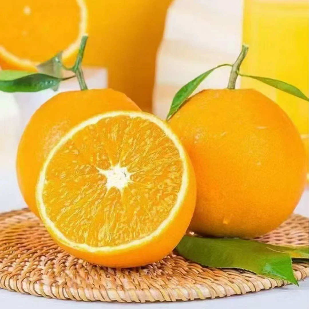 【试吃四个】正宗赣南脐橙当季新鲜水果现摘赣南脐橙农家甜橙子
