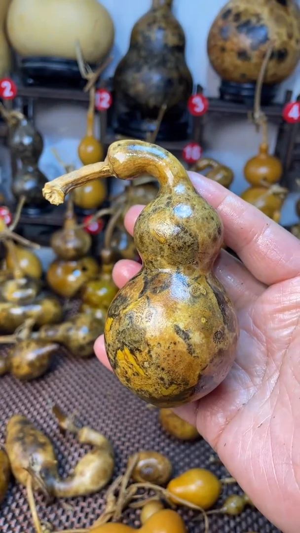 【闪购商品】葫芦葫芦葫芦葫芦葫芦葫芦