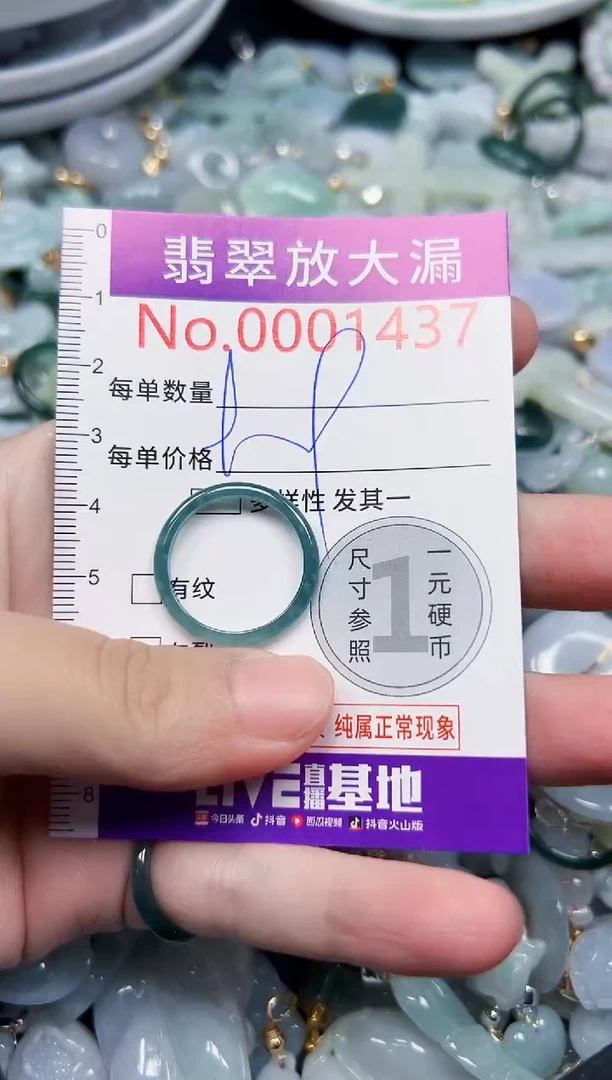 颈饰未镶嵌翡翠1437