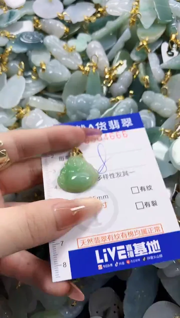 颈饰未镶嵌翡翠天然A货翡翠