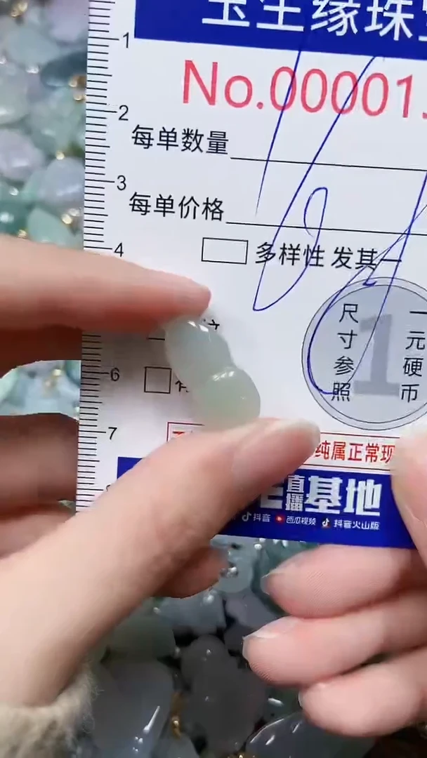 【闪购商品】翡翠颈饰未镶嵌闪购00000133