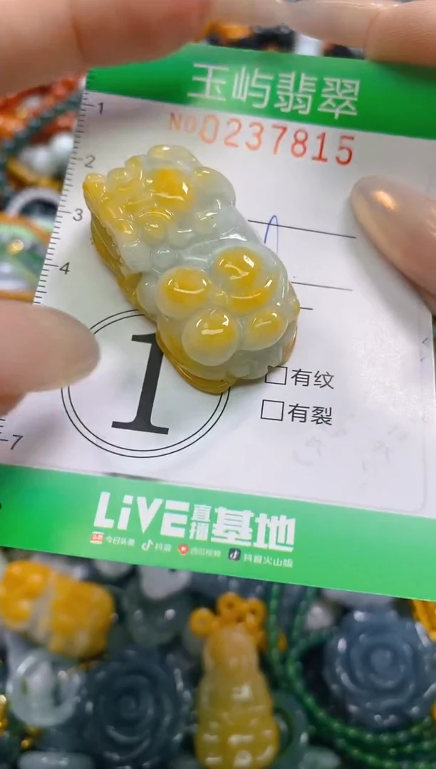 颈饰未镶嵌翡翠闪购0237815