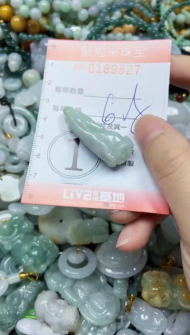 翡翠未镶嵌颈饰闪购0189827