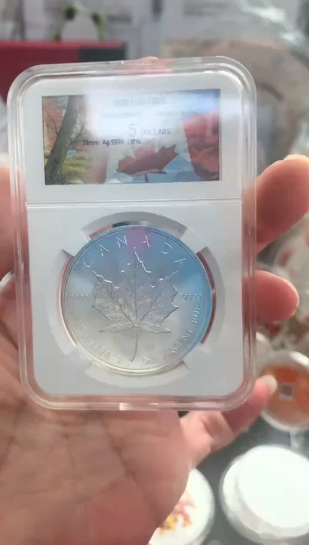 纯银枫叶银币封装版世泉