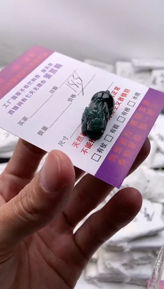 翡翠未镶嵌颈饰貔貅【品质一般介意慎拍】