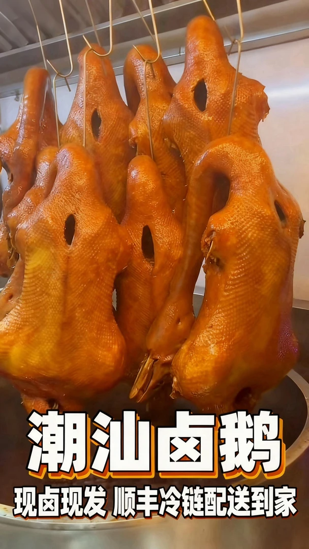 【顺丰冷链】非遗工艺卤制 潮汕溪口狮头鹅全鹅 卤制熟食传统美食