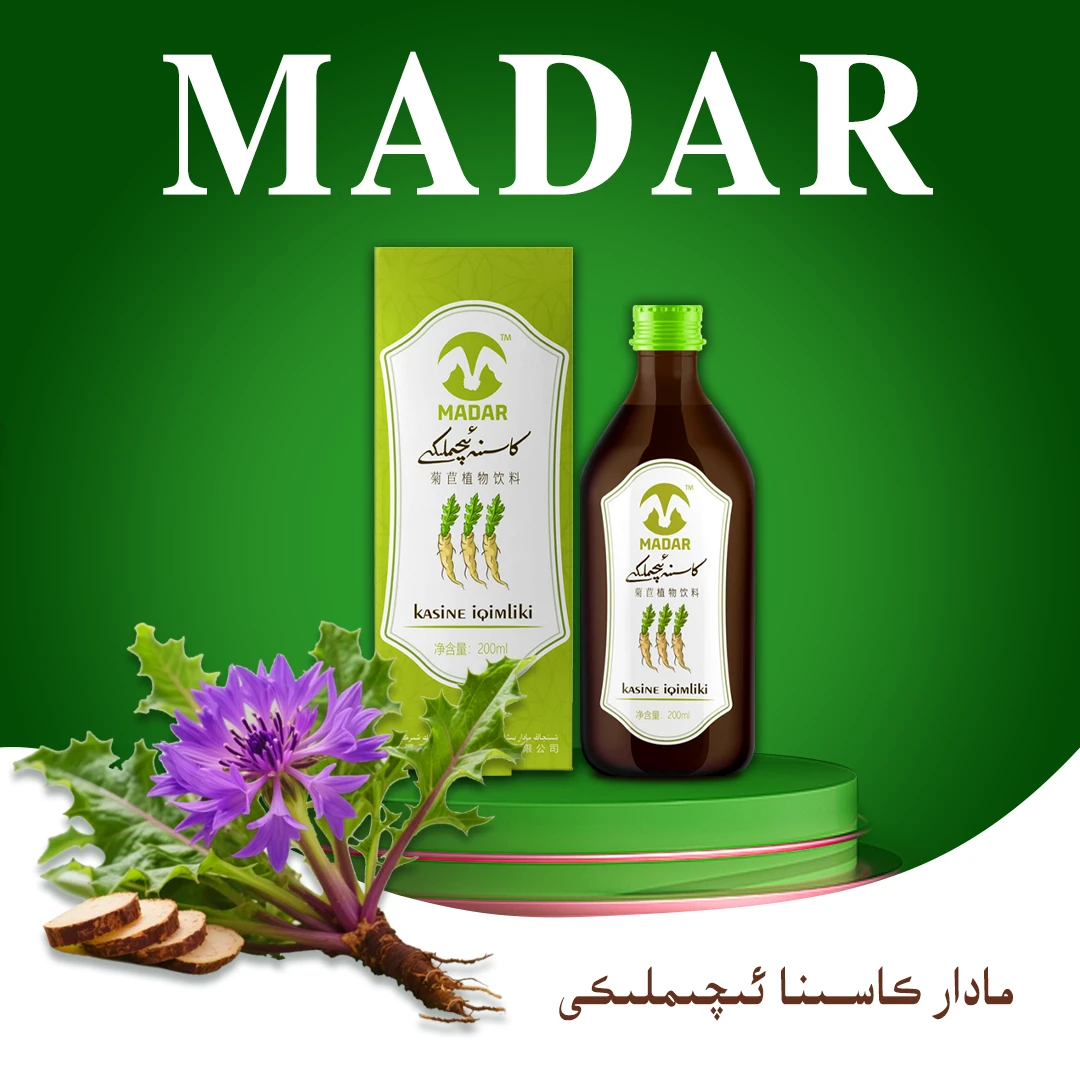 MADAR生物科技菊苣饮料常温كاسىنئىچىملىكى