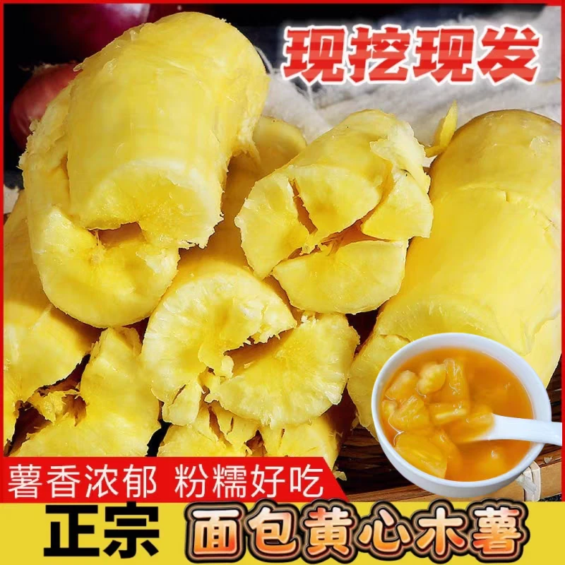 广西黄肉木薯新鲜现挖真空打包软糯香甜可做糖水甜品