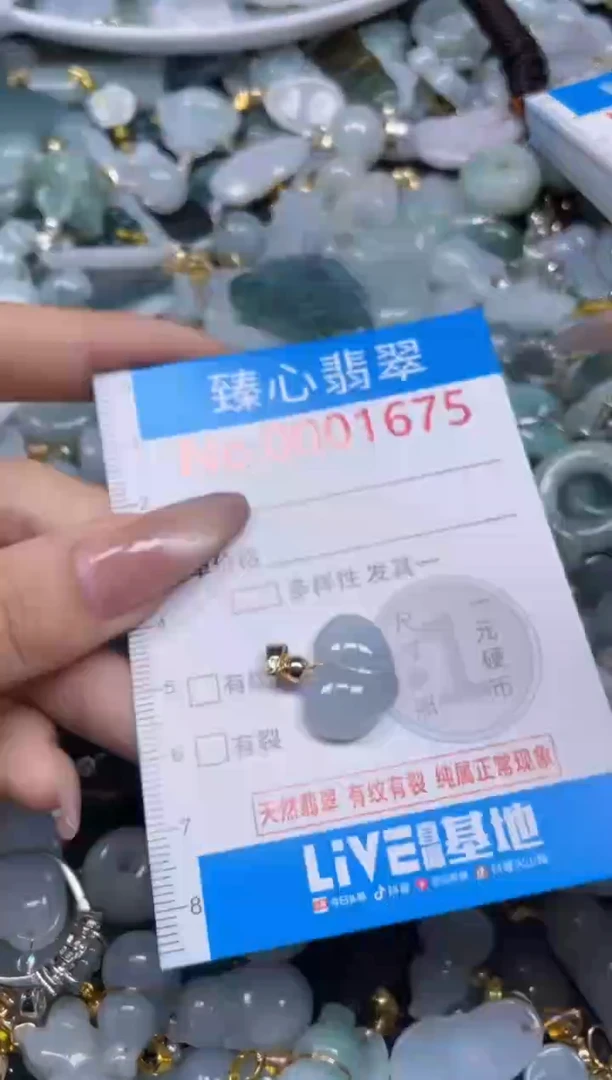 颈饰未镶嵌翡翠1675