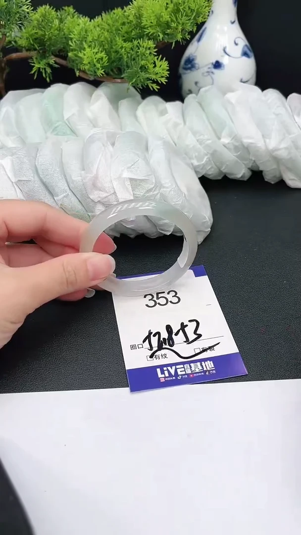 未镶嵌手镯翡翠353