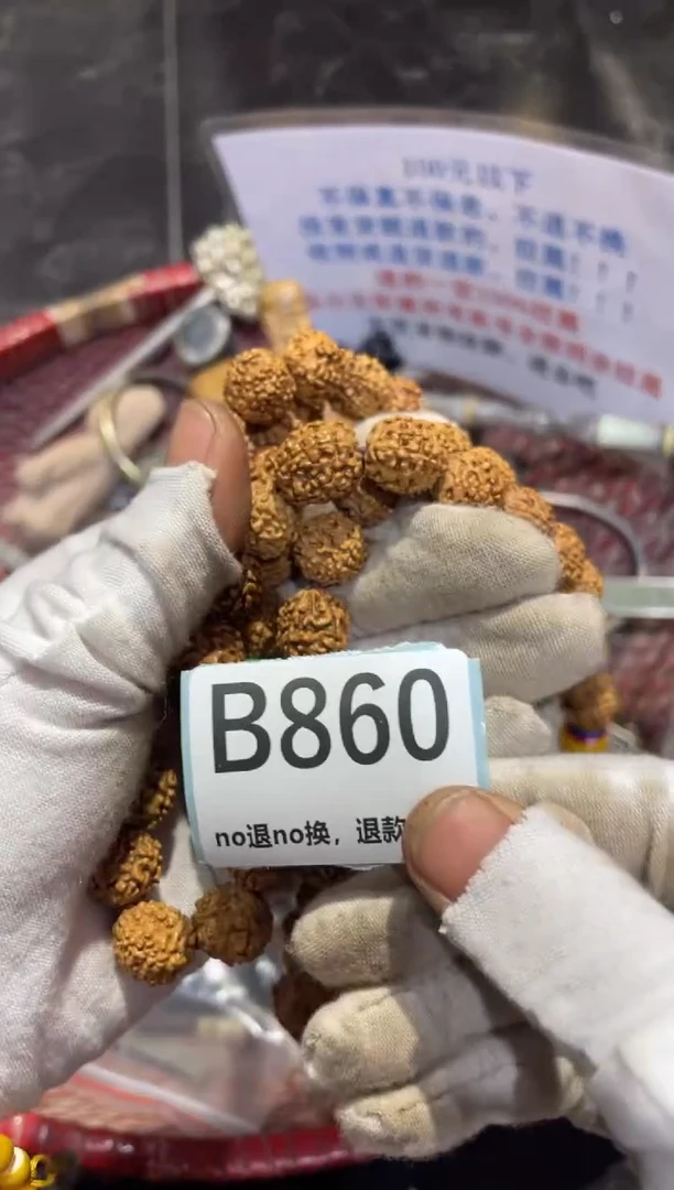瓷片瓷片瓷片瓷片瓷片