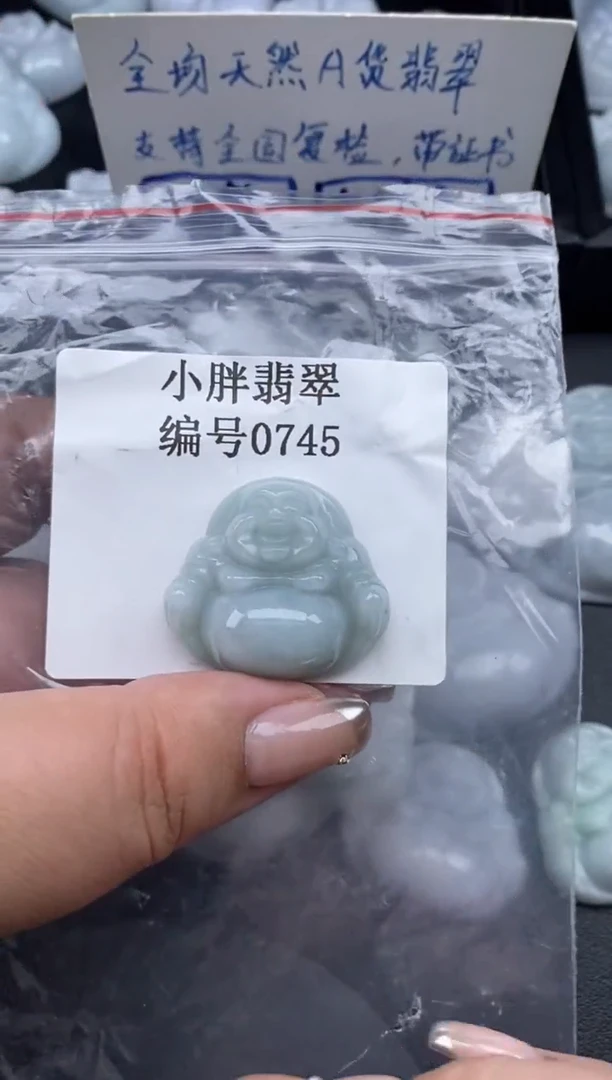 翡翠未镶嵌颈饰缅甸天然A货翡翠0745