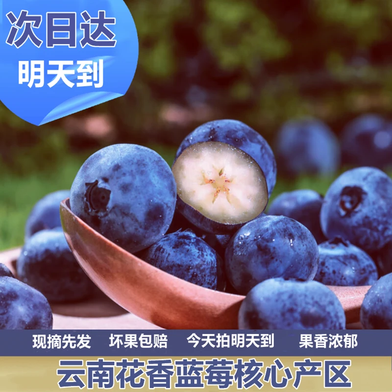 【明日达】【巨无霸22-28mm8盒江浙沪拍这个】花香蓝莓云南澄江抚仙湖蓝莓礼盒装新鲜采摘xn6云南省