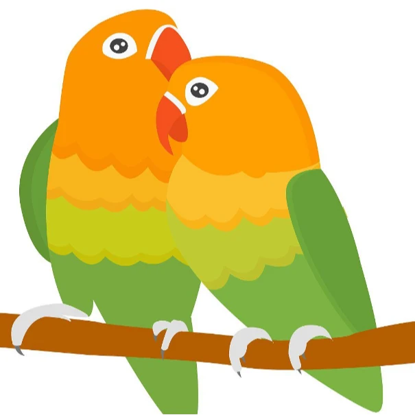 手养亲人可互动观赏的可爱宠物鸟