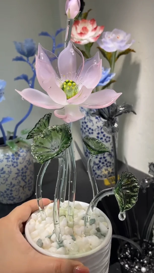 琉璃52荷花 福利价