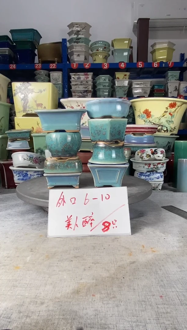 25607八只美人醉花盆