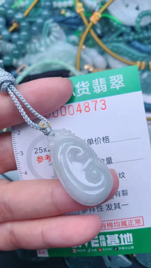 翡翠未镶嵌颈饰.0004873