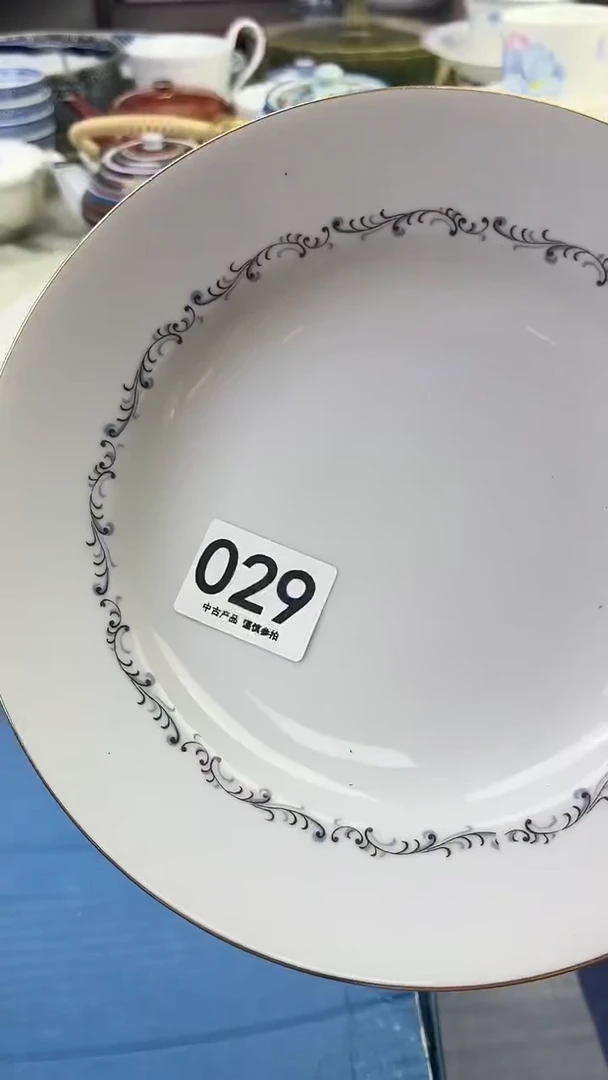 瓷片用****81029.......