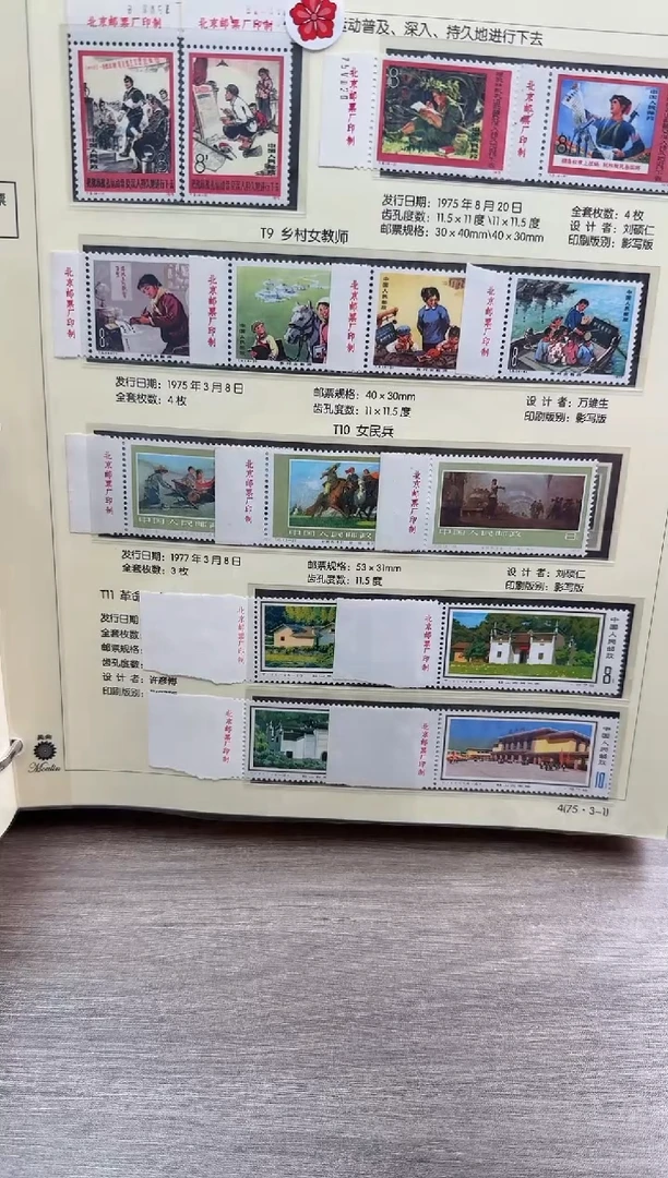 T9 女教师 不带 厂铭