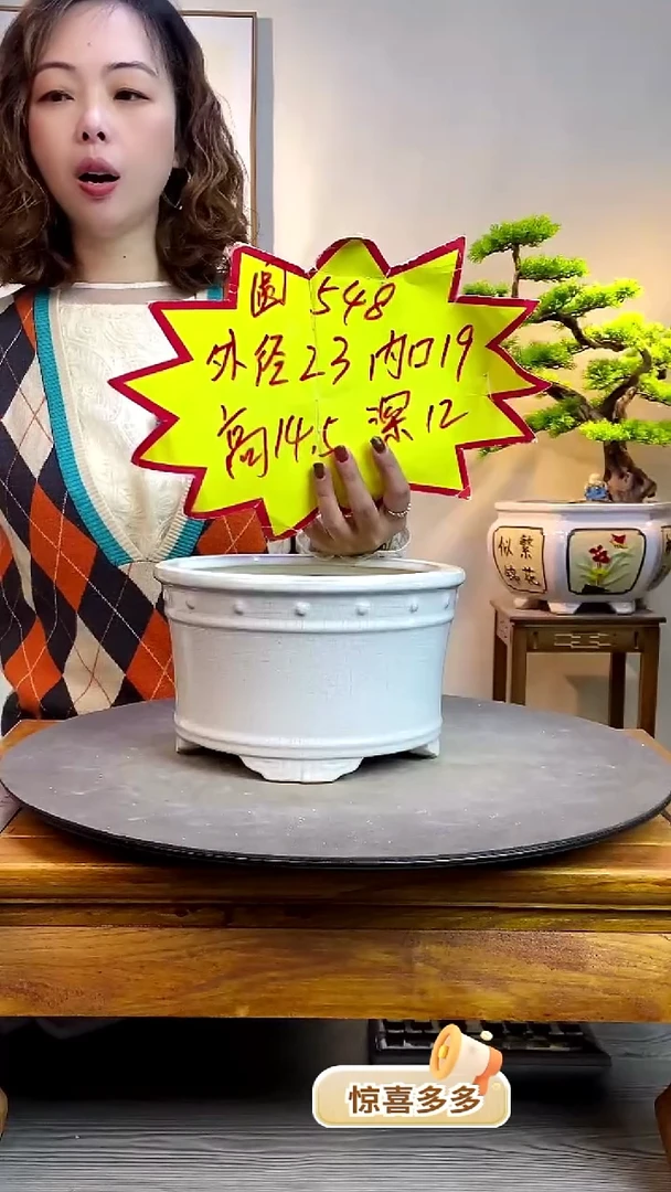 【闪购商品】陶瓷548白色