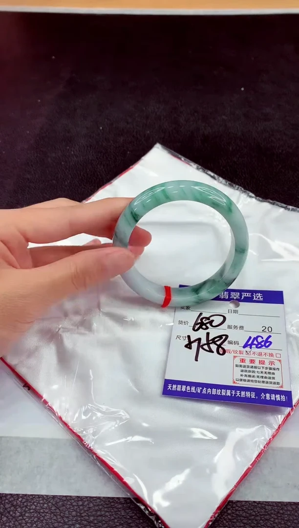 未镶嵌手镯翡翠1