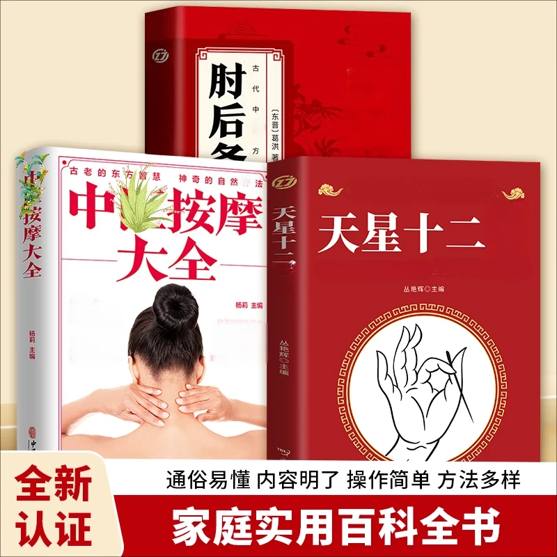 天星十二  传统技法轻松自学书籍L8