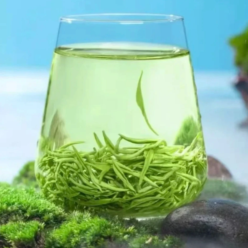 2025年贵州新茶高山云雾绿茶毛尖茶叶浓香型500克