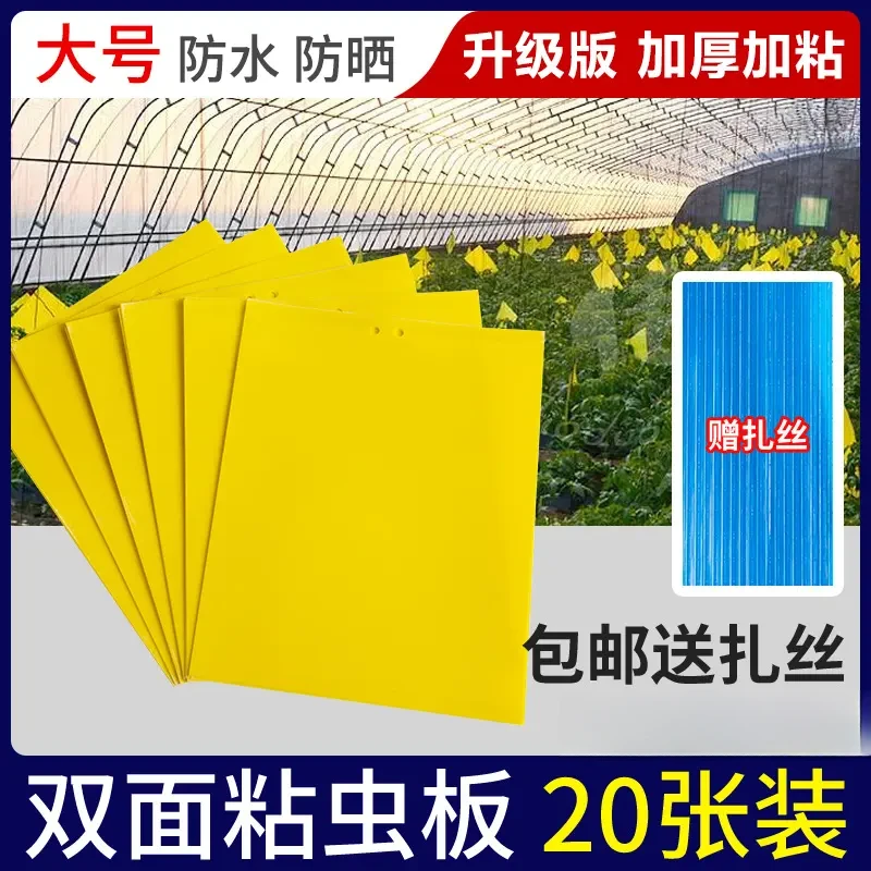 黄板双面粘虫板诱虫板贴纸灭小飞虫沾果蝇诱捕器果园蚊子苍蝇大棚