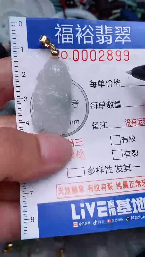 翡翠未镶嵌颈饰...0002899