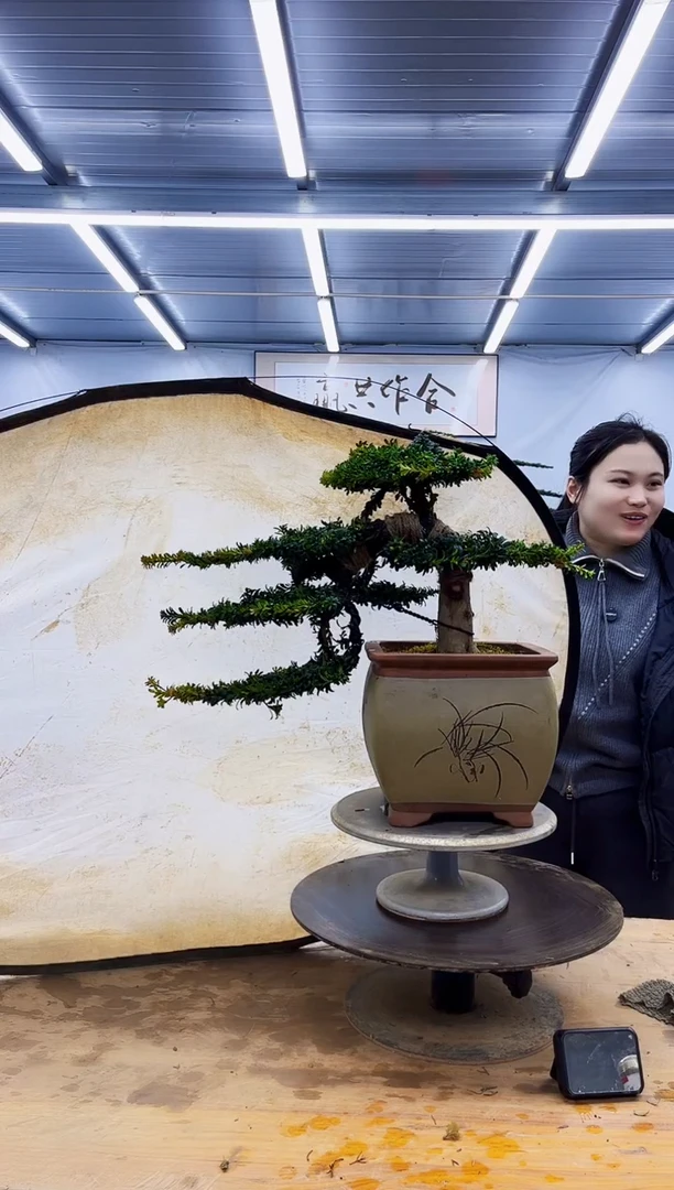 无花朵一物一拍，所见即所得